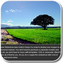 Screenshot of built-in slideshow view