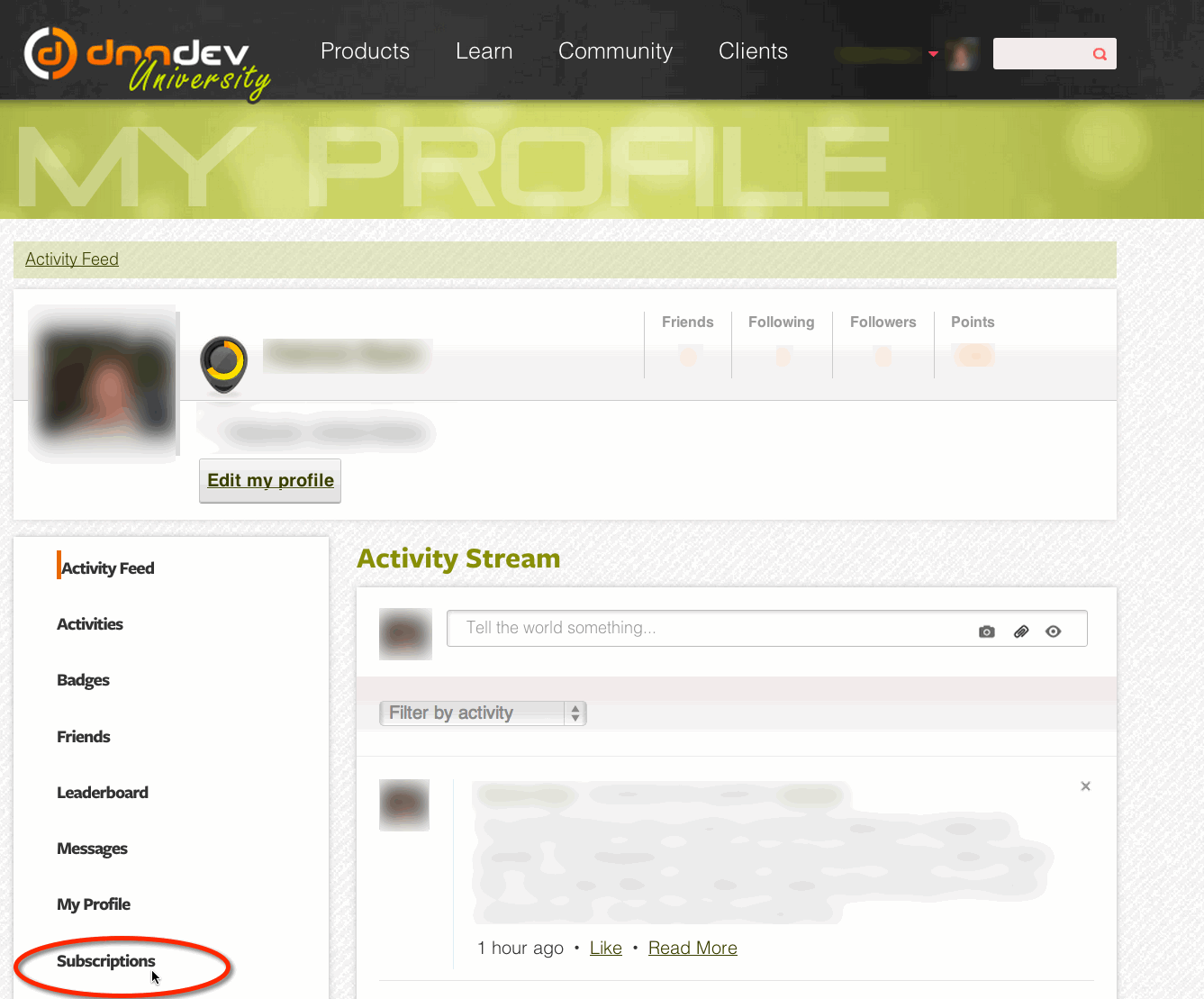 Select Subscriptions from the menu